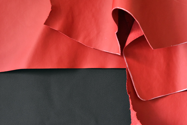 150913 ISME 2 DSC_0032.jpg